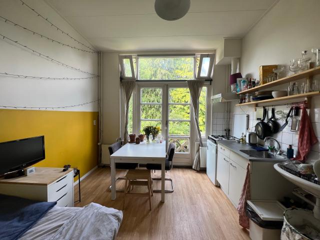 Kamer te huur in Schildersbuurt, Groningen