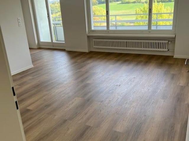 Apartment mieten in Rudolfstetten, Rudolfstetten-Friedlisberg