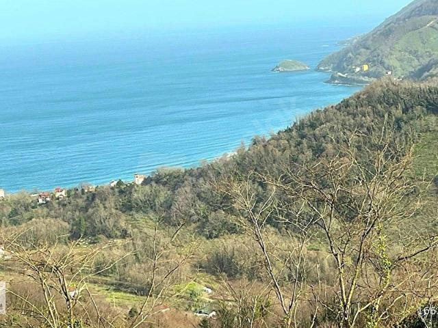 Ordu içerisinde satılık mülk