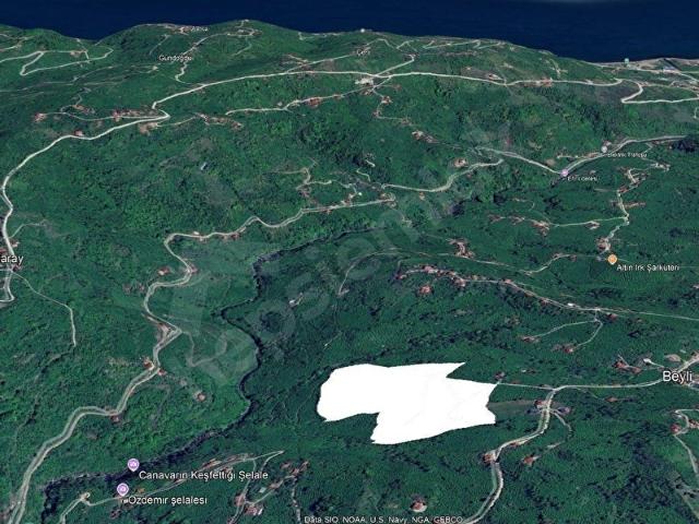 Ordu içerisinde satılık mülk