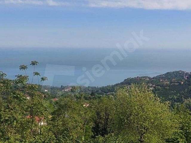 Ordu içerisinde satılık mülk