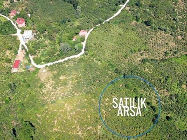 Ordu içerisinde satılık mülk