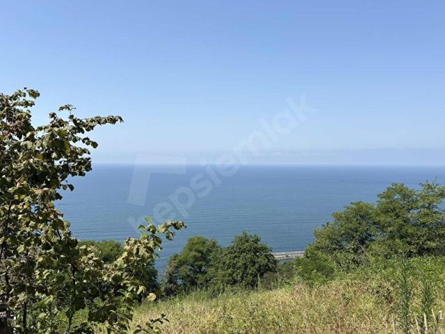 Ordu içerisinde satılık mülk