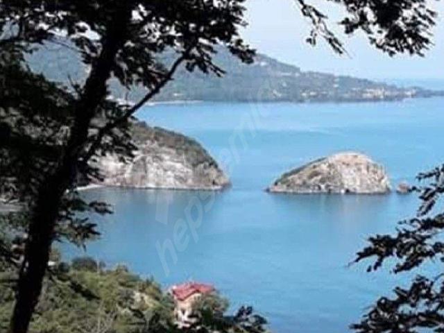 Çapraz, Perşembe içerisinde satılık mülk
