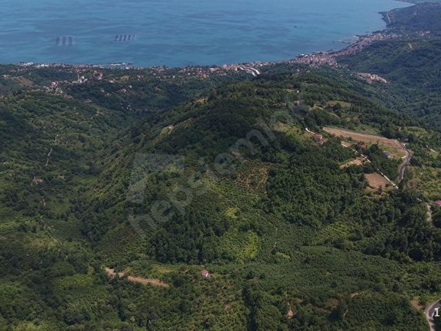 Ordu içerisinde satılık mülk