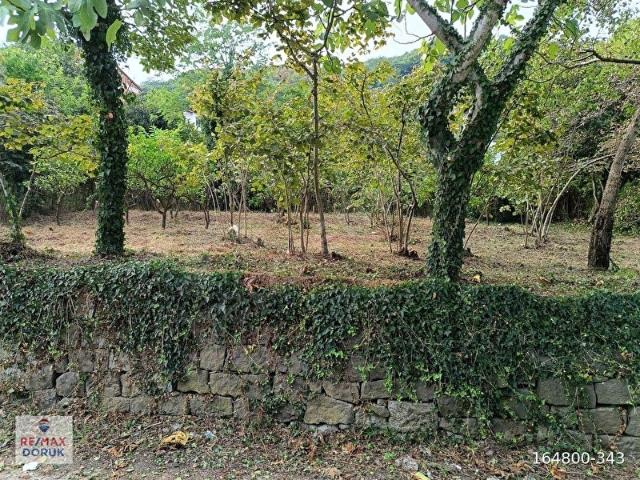 Ordu içerisinde satılık Arsa
