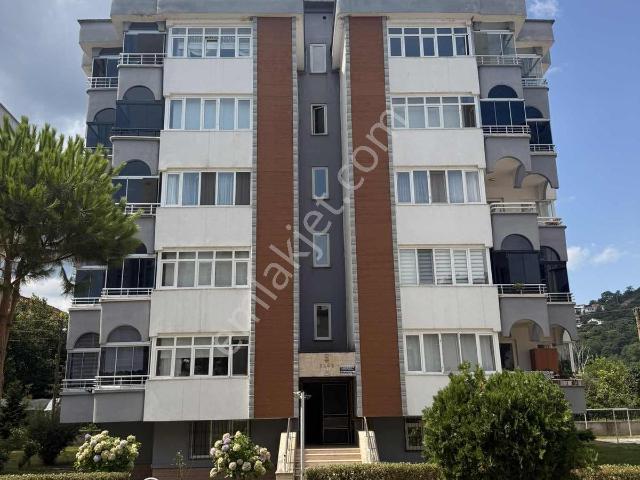 Ordu içerisinde kiralık mülk