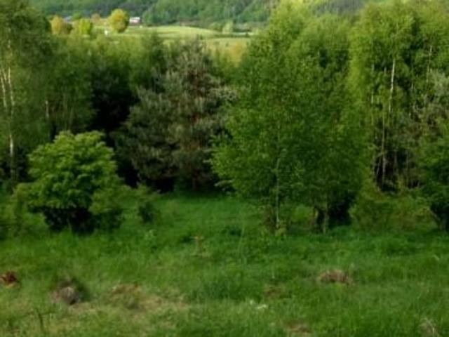 Grunt na sprzedaż w Stara Huta, Pomorskie