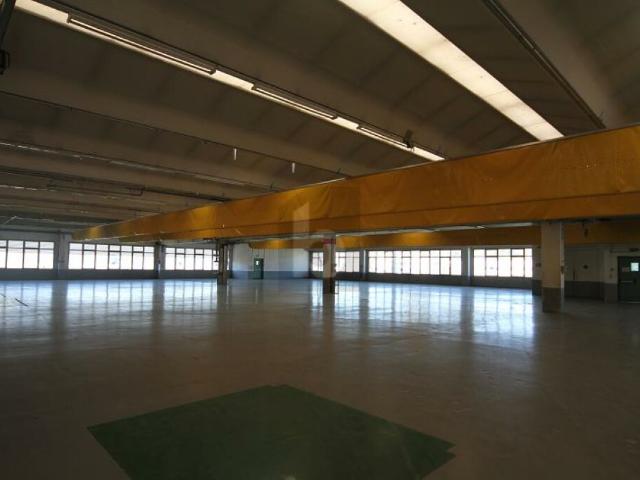 Atelier mieten in Stabio, Tessin