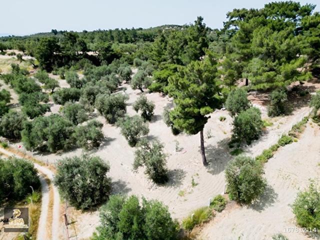 Ayvalik, Balikesir içerisinde satılık mülk