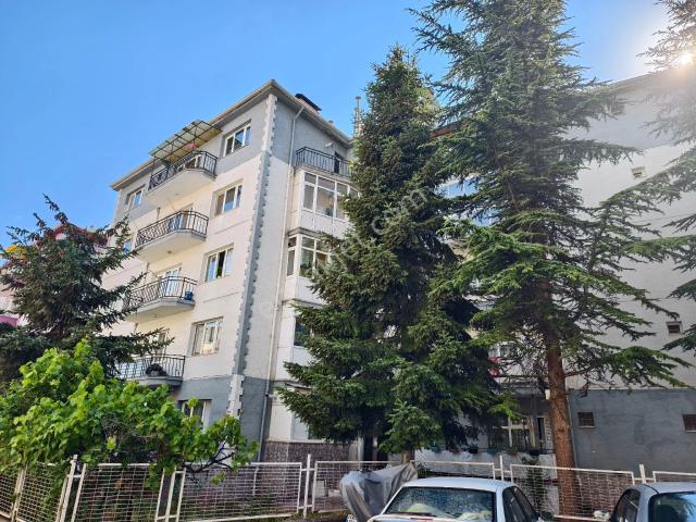 Tepebaşi, Eskişehir içerisinde kiralık mülk