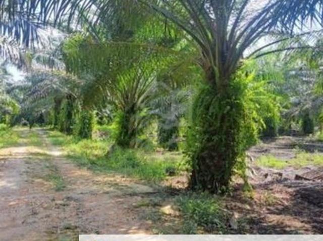 Shop for sale in Perak