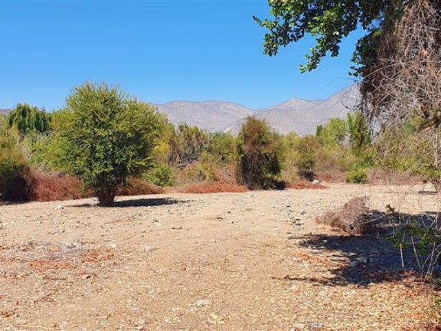 Venta Parcela 12 Hectareas Illapel Peralillo sin Comisión