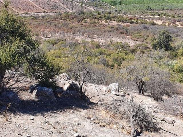 Venta Parcela 12 Hectareas Illapel Peralillo sin Comisión