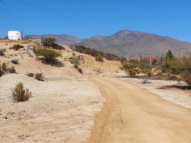 Venta Parcela 12 Hectareas Illapel Peralillo sin Comisión