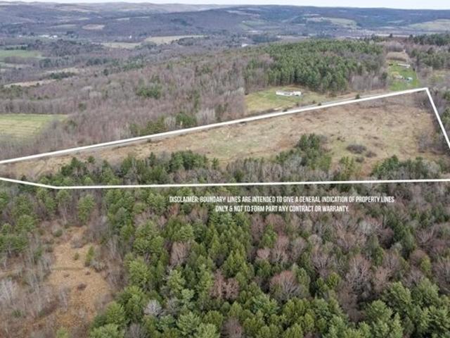 Land for sale in Nineveh
