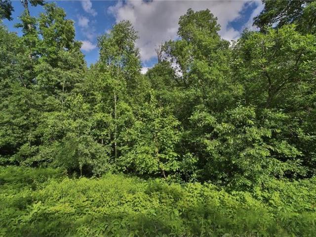 Land for sale in Crosslake, Minnesota