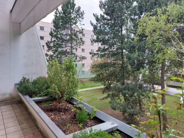 Wohnung kaufen in Perchtoldsdorf, Niederösterreich