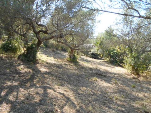 Terreno in vendita a Rutino, Campania