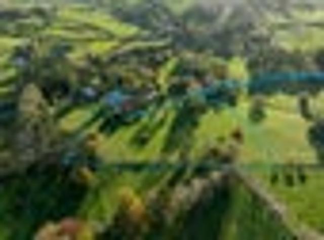 Land for sale in Kawau Island