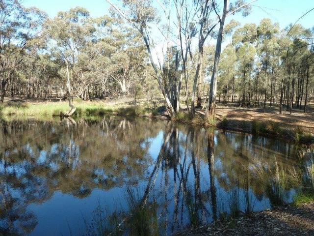 Land for sale in Wehla, Victoria