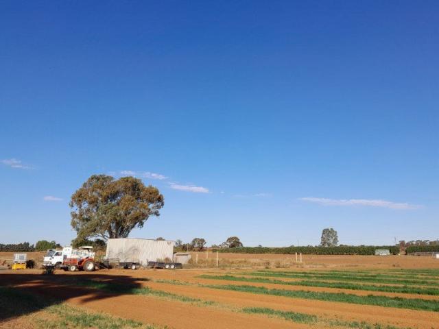 Cottage for sale in Woorinen North, Victoria