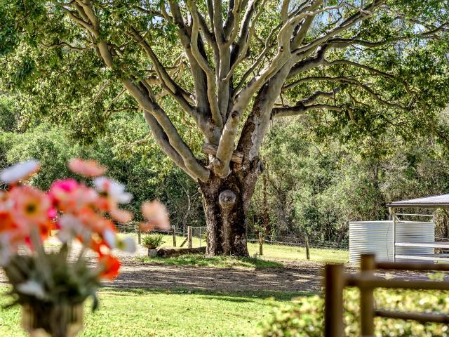 House for sale in Kings Creek, Queensland