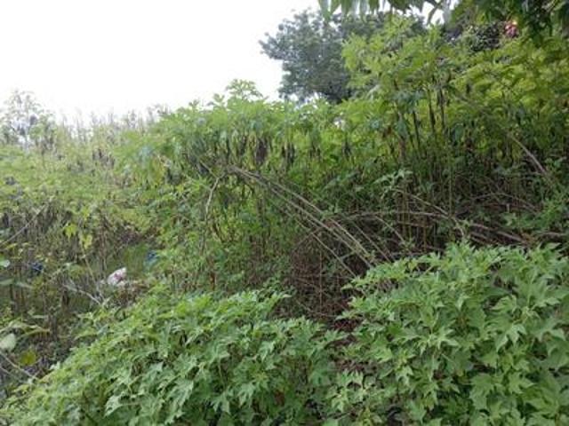 Land for sale in New Germany, Kwazulu-natal