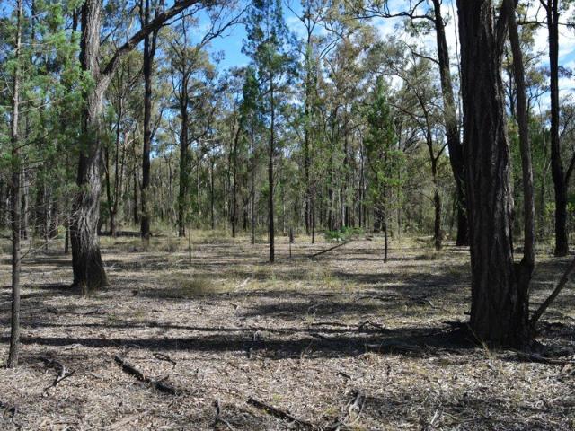 Cottage for sale in Inglewood, Queensland