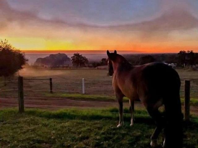 Cottage for sale in Meelon, Western Australia