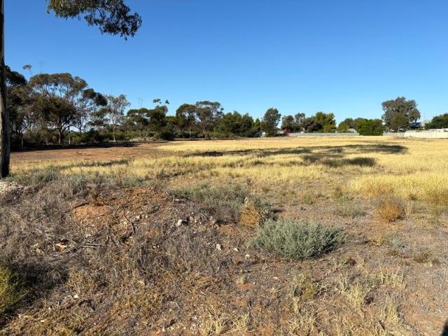 Land for sale in Sea Lake, Victoria