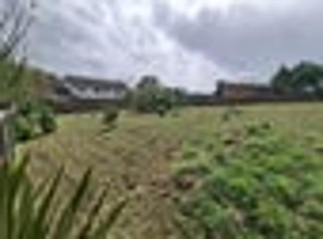 Land for sale in Paeroa, Waikato