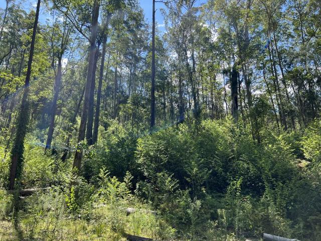 Property for sale in East Kempsey, New South Wales