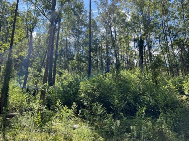 Property for sale in East Kempsey, New South Wales