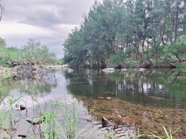 Property for sale in Lower Creek, New South Wales