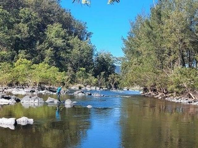 Cottage for sale in Lower Creek, New South Wales