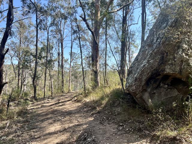Property for sale in New South Wales