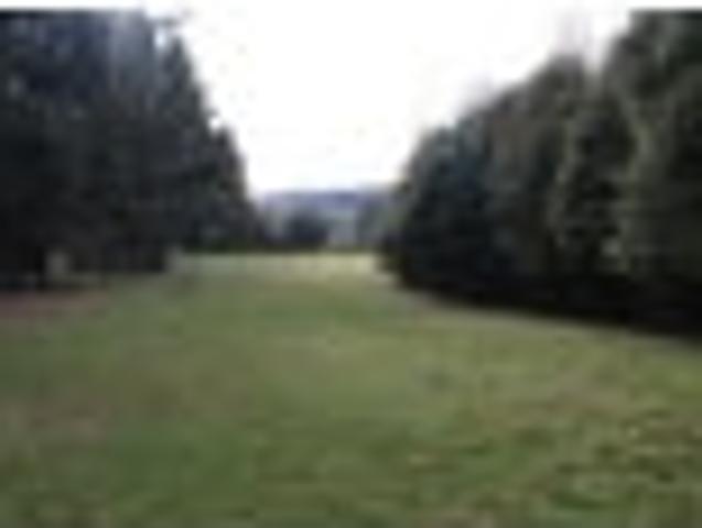 Land for sale in Lumsden, Southland