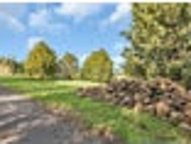 Land for sale in Northland