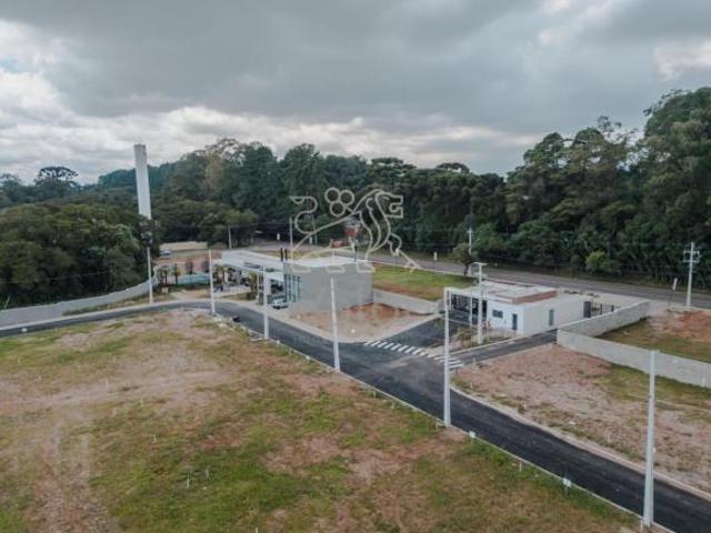 Terreno venda em Região Geográfica Imediata de Curitiba, Região Metropolitana de Curitiba