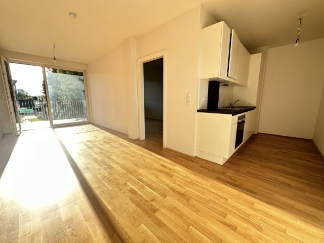 Apartment mieten in Liebenau, Gersdorf-Feistritz