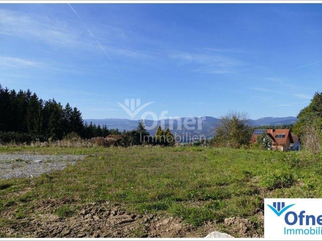 Immobilie kaufen in Oberdorf, Bärnbach