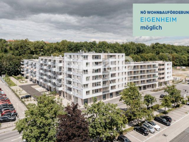 Apartment kaufen in Weitern, St. Pölten