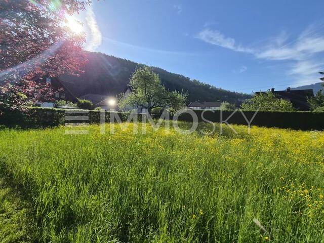 Grundstück kaufen in Feldkirch, Vorarlberg