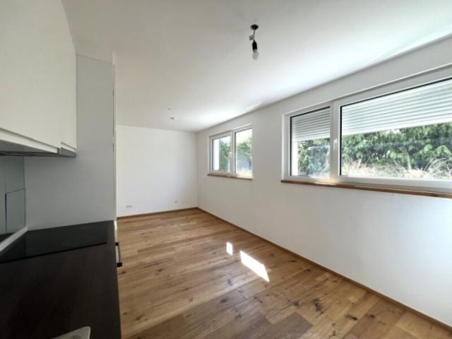 Erdgeschosswohnung mieten in Wien