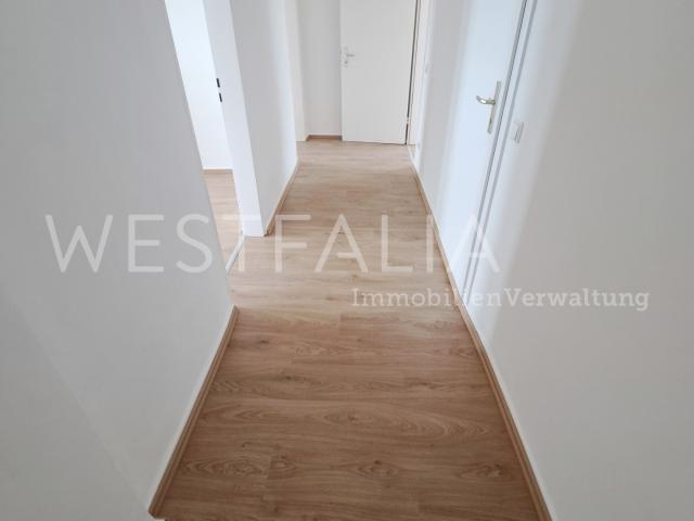 Apartment mieten in Duisburg-Mitte, Duisburg