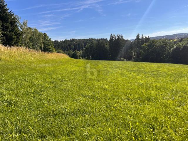 Grundstück kaufen in Esternberg, Oberösterreich