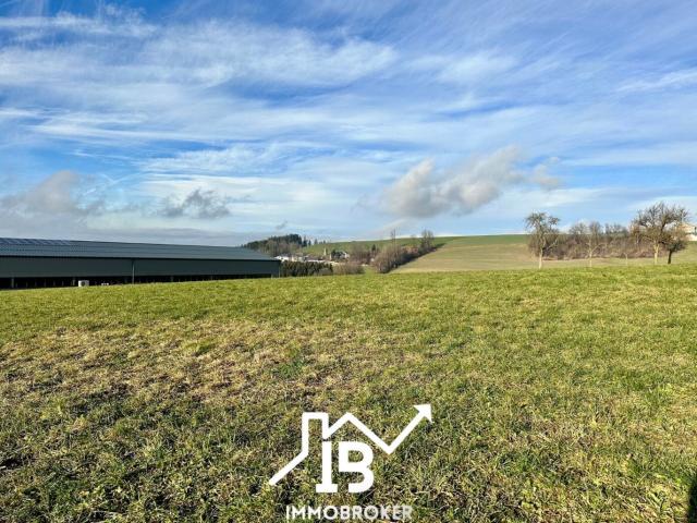 Grundstück kaufen in Gramastetten, Oberösterreich