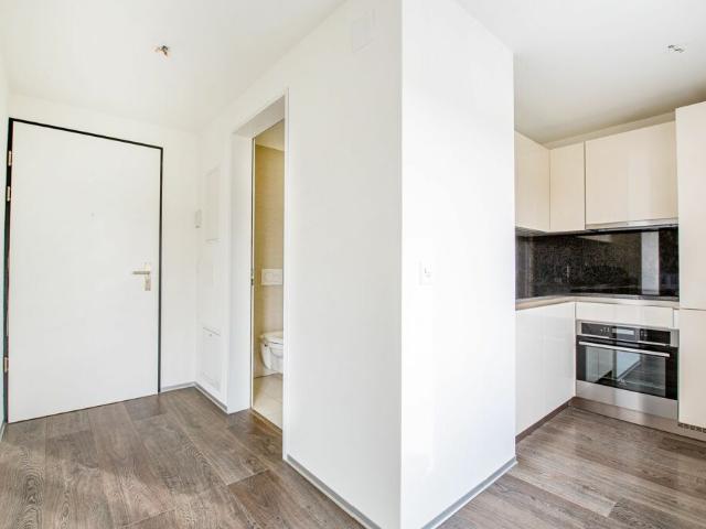 Wohnung mieten in Dübendorf, Zürich