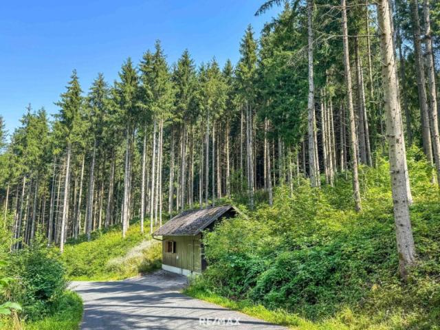 Landwirtschaft kaufen in Kirchham, Oberösterreich